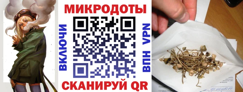 магазин продажи   Северская  мега tor  Псилоцибиновые грибы Cubensis 