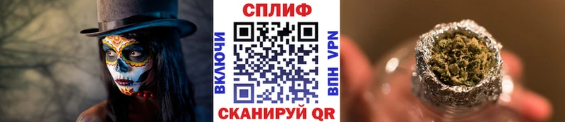 Каннабис ГИДРОПОН  где найти   Северская 